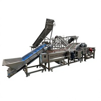 Machine de nettoyage à bulles motorisée multifonctionnelle à haute efficacité pour fruits, légumes, céréales avec acier inoxydable 304