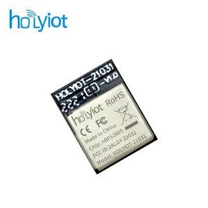 Holyiot Fabriek Directe Verkoop Ultra-Laag Stroomverbruik Bluetooth Ble Module Nordic Nrf52805 Soc Bt 5.0 Module