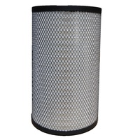 Filtre à air ORIGINAL P781182 P784021 RS30116 Utilisation pour filtre Donaldson 1535521 503136930 C3217521 C321752