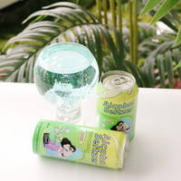 Usine de bière personnalisée 250ml 330ml Seltzer dur boissons vitaminées pétillantes 3% 5% 8% boissons à cocktail à saveur d'alcool