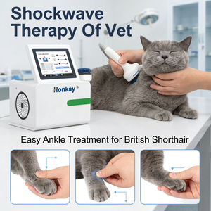 Factory Price Non Invasive Equine Focused <b>Shockwave</b> Device Tendon Repair Animal Focused Shock Wave <b>Machine</b> for Vet Use - Product Image 1