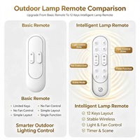 Control Remoto JCXK de 12 Teclas para Lámparas Inteligentes, Controlador de Iluminación Exterior, OEM, ODM, Personalizado