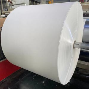 Feuille de papier pour boîte alimentaire, 250 g/m², 300 g/m², imperméable, double face, enduite de PE, écologique, recyclable, carton ivoire - Product Image 3