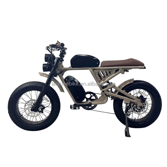 Wholesale Customized 2 Wheel Electric Bike Classic Style Fat Tire Electric Power Bike for Adult
