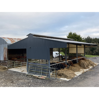 Structure en acier préfabriquée traditionnelle directement de l'usine pour élevage de moutons, de chèvres, de vaches laitières, de bovins