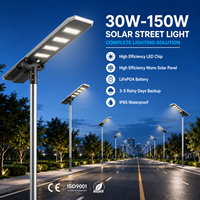 Lampadaire solaire LED monocristallin en silicium MPPT à économie d'énergie IP66 30W 60W 80W 100W