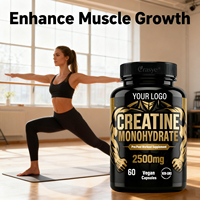EUR US Offre Spéciale 2500mg Capsules de monohydrate de créatine pour adulte Supplément post-entraînement Croissance musculaire maigre et récupération rapide