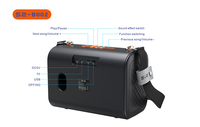 Haut-parleur Bluetooth portable SZ-B002 Super Bass TWS Stéréo sans fil avec sangle, lecteur de carte TF, USB, radio FM, vente en gros OEM