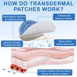 NAD + 비타민 패치 개인 라벨 NAD 경피 패치 NAD + 경피 패치 제조업체 - Product Image 2