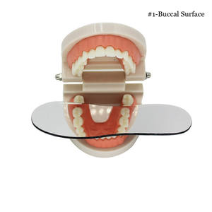 กระจกทันตกรรม5ชิ้น/เซ็ต, กระจกสะท้อนแสงสำหรับจัดฟันในปากกระจกส่องเครื่องมือทันตกรรมกระจกสองด้าน - Product Image 2