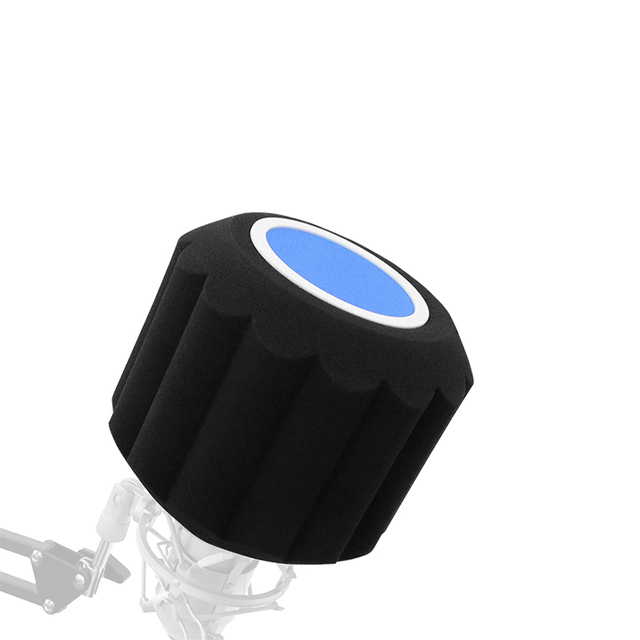 Rayyu F-6 Windproof Soundproof Blowout-proof Microphone Pop Filter for Recording