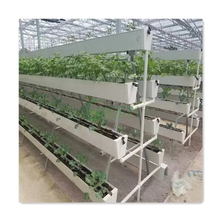 2023 핫 세일 상업용 수경 Nft 시스템 성장 수경 딸기 성장 채널 거터