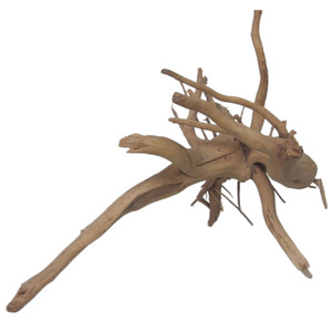 Modern groothandel natuurlijk drijfhout aquariumdecoratie veilig aquariumhout snel zinkend pH-neutraal waterplanten mos groothandel leverancier - Product Image 1