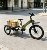 Tricycle électrique à 3 roues avec assistance électrique, freins à disque hydrauliques intégrés en aluminium et lithium, conduite stable pour personnes âgées et courses