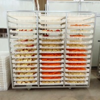 Tropische Fruit Dehydrator Machine, Multi-Layer Trolley Oven voor Durian, Jackfruit en Bananenchips, Exportkwaliteit