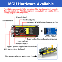 Kit de développement DX-LR43-24M12S, module LoRa SX1281, 2,4 GHz, 12,5 dBm, longue portée 3 km, module émetteur-récepteur RF sans fil, SPI FLRC BLE