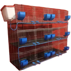 Easy installation commercial rabbit farming cages / rabbit breeding cages with quality guarantee