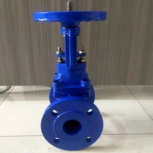 Katup api konservasi air katup pintu masuk katup gerbang batang naik besi elastis katup gerbang kursi Z41X PN16 - Product Image 2