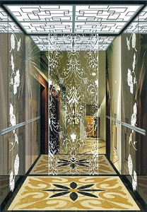 Ascenseur Privé Personnalisé Poids 400 Kg/500 Kg/600 Kg Type de Traction Ascenseur Domestique Électrique Ascenseur Passagers Villa - Product Image 6