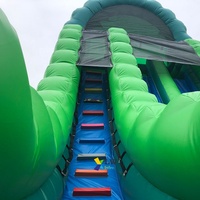 Grand toboggan aquatique gonflable commercial double avec palmiers pour enfants et adultes