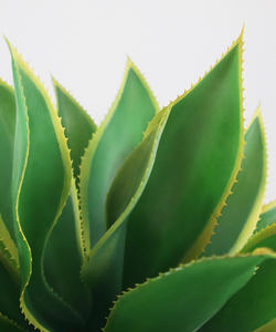 Gran Planta artificial realista para decoración de techo y pared, sala de estar y diseño floral al aire libre - Product Image 3