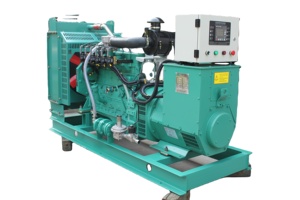 Máy Phát Sinh Khối 50 Kw Khí Hóa Khí Phát Điện + Thế Hệ + Thiết Bị - Product Image 6