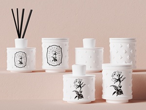 <span class=keywords><strong>C</strong></span> & H Sang Trọng Trang Chủ Trang Trí Hương Liệu Reed Khuếch Tán Bộ 150Ml Chai Gốm Với Phổ Biến Hương Thơm Chất Lỏng - Product Image 3