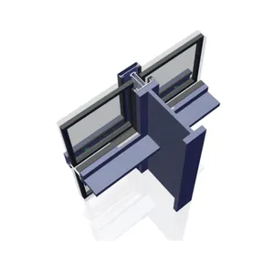Aangepaste Glazen Vliesgevel Accessoires Vliesgevel Profiel Aluminium