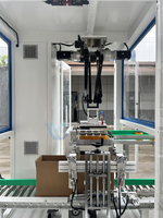 Empaquetadora Robótica Paralela de Carga Superior Automática para Latas, Frascos de Vidrio y Botellas - Máquina de Empaque con Robot de Recogida y Colocación