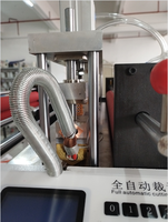 Machine de découpe et de scellage entièrement automatique intégrée pour sacs de stérilisation médicale en PE/PVC, machine de fabrication de sacs par pressage à chaud