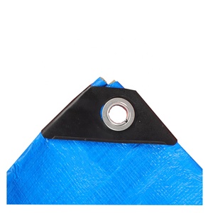 Telo in PE Impermeabile, Ecologico e Ignifugo con Occhielli in Plastica per Auto, Casa e Tessili - Product Image 2