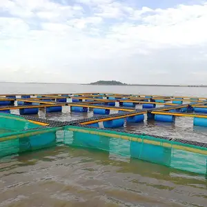 Deep sea storm resist aquaculture fish cage with mooring system