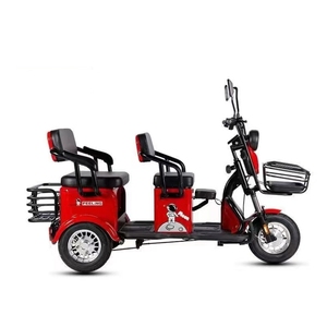 Triciclo Eléctrico Económico de Gran Potencia (800 W) con Carrocería Abierta y 3 Ruedas para Movilidad de Personas Mayores en Oferta - Product Image 1