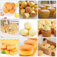 ORME-Mini ligne de production de gâteaux macarons au miel, remplisseuse automatique de cupcakes pour petites entreprises