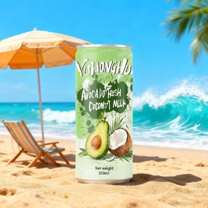 低脂肪植物プロテインドリンク310mlマルチフレーバーカスタマイズミルク飲料オートミールピーナッツミルクOEM ODM缶 - Product Image 2