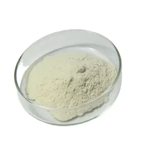 Food Grade CAS 11138/90-66-2 Food Grade Powder Xanthan Gum