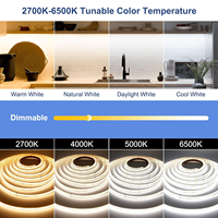 Kit de Tiras de Luces LED COB CCT de 24V, 2700K-6500K, Blancas Ajustables y Regulables, con Fuente de Alimentación y Controlador de Intensidad