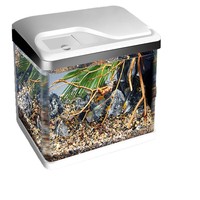 Aquarium rectangulaire en verre à faible entretien avec filtre intégré pour bureau/terrasse – Bassin pour poissons rouges de petite à moyenne taille