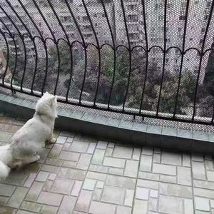 100% HDPE bền bảo vệ dây lưới Net cho gà Gia cầm Gà trang trại hàng rào bảo vệ - Product Image 1