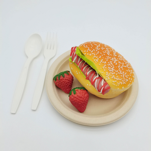 Assiettes jetables en bagasse de canne à sucre de 8 pouces en gros, boîte à lunch compostable, vaisselle écologique pour fêtes et camping - Product Image 4