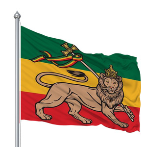 Bandera Decorativa de León de Judá, Verde, Amarillo y Rojo, 3x5 Pies, para Exteriores, Fiestas y Decoraciones - Product Image 1