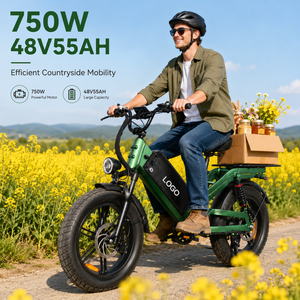 750W 48V55Ah <b>Electric</b> Bike Aluminum Frame Long Range E-Bike with Hydraulic Disc Brake and LCD Display for Adult Transportation - Product Image 1