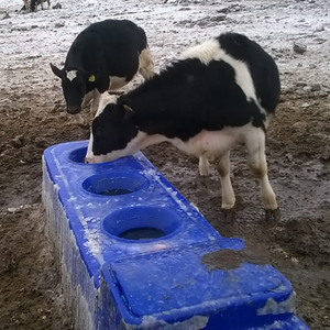 <span class=keywords><strong>Serbatoio</strong></span> dell'acqua per bovini lunghezza 2.25m <span class=keywords><strong>con</strong></span> coperchio <span class=keywords><strong>abbeveratoio</strong></span> in plastica abbeveratoi per animali - Product Image 2