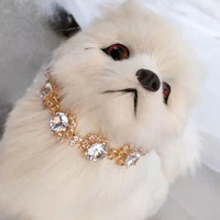 Collier en strass pour chat, collier en cristal réglable pour petits chiens et chats