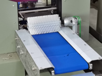 Machine à emballer les aliments les plus populaires Machine à emballer les biscuits Fortune