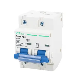 CNCSGK CSB8-125 interruttore MCB doppio polo 2 p 2 poli 2 poli 63A 80A 100A 125A 6KA 500V dc mini interruttori elettrici in miniatura