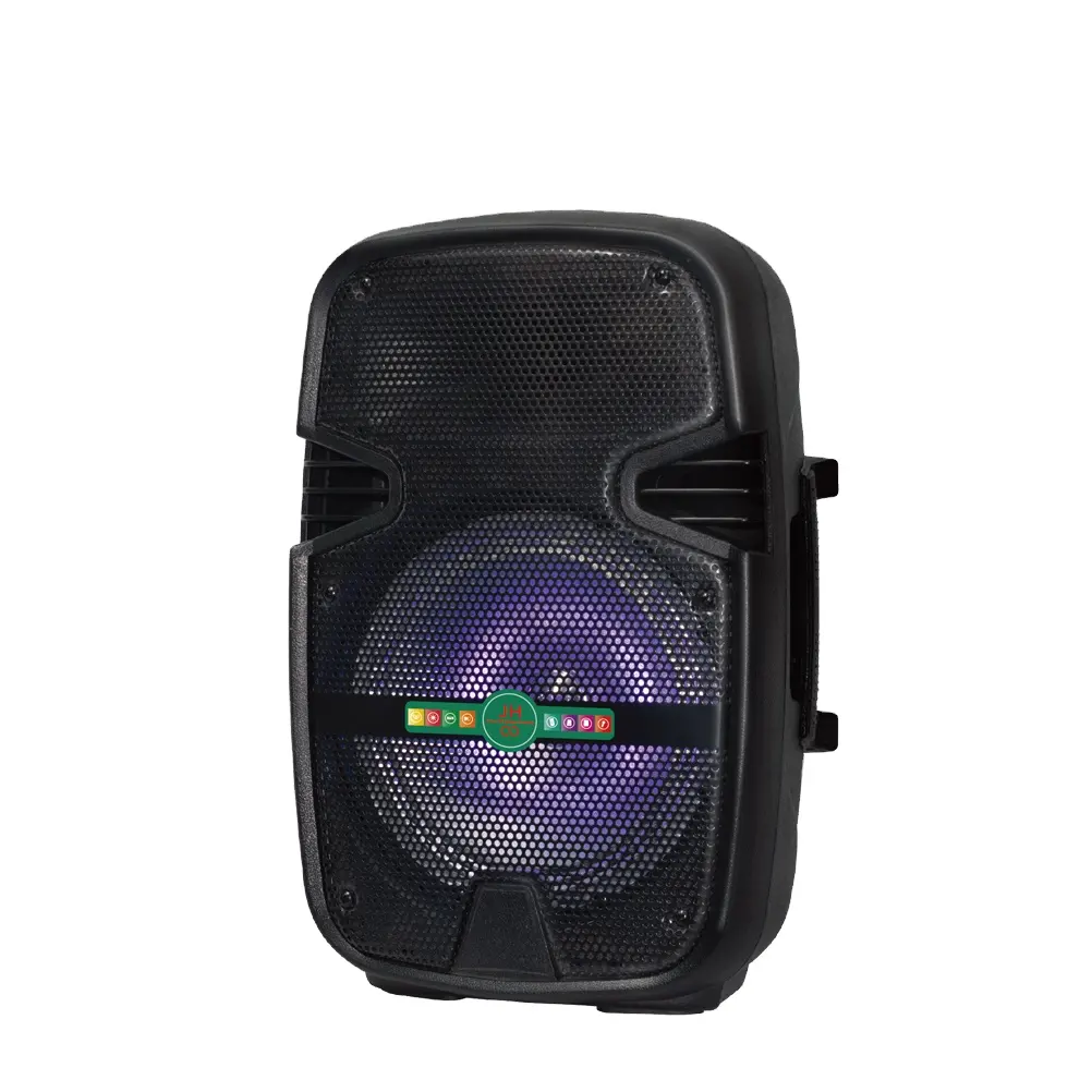 2022 AILIPU woofer da 8 pollici con luci a LED portatile Partybox altoparlante per karaoke alimentato da DJ altoparlante wireless per feste