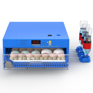 Incubadora de huevos de gallina, pato, Ganso, fuente de alimentación Dual, 220v/110v, precio barato - Product Image 2