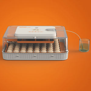 Incubateur automatique d'œufs <span class=keywords><strong>Artemia</strong></span> 56 fabriqué en Afrique du Sud, à vendre en Afghanistan, 1000 œufs, 220V AC/DC en Corée 301 - Product Image 3