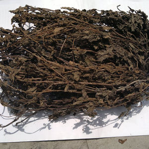 Gelée noire séchée en vrac fabriquée par Vietdelta 2022 du Vietnam Produit alimentaire/boisson agricole avec stockage congelé - Product Image 1